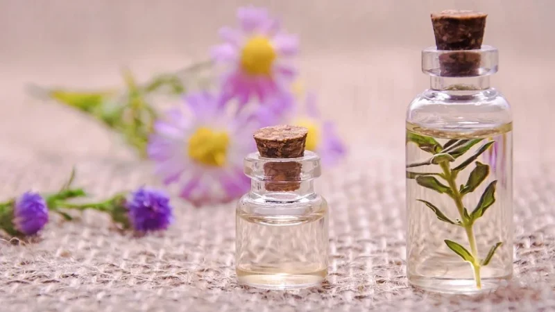 Naturalny Olejek Eteryczny Ze Świerku Czarnego 30 Ml 11500