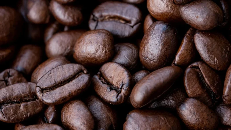 Nigra Premium Coffee Kawa Ziarnista Kamerun Boyo Arabika 100% 1kg
