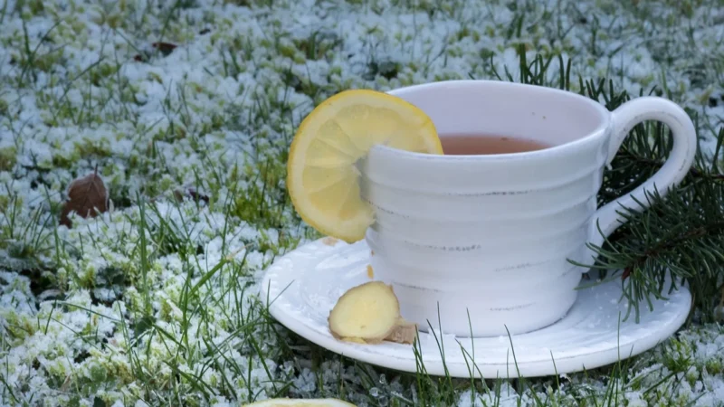 Oleofarm Sok Imbir kurkumą i cytryną, 980ml