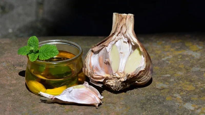 Oli-Oli olej rzepakowy z czosnkiem 170g w sprayu