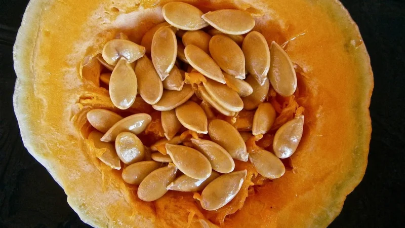 Olmuhle Solling Mąka Z Pestek Dyni Częściowo Odtłuszczona 500g