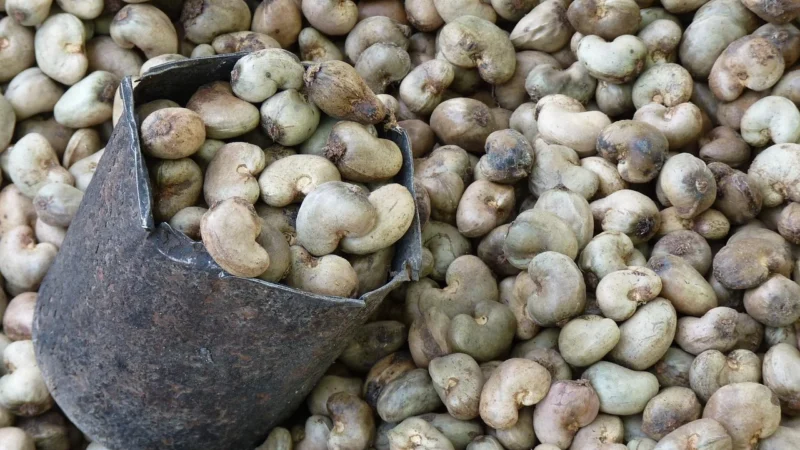 Orzechy Nerkowca 600g Połówki Słoik Pyszne