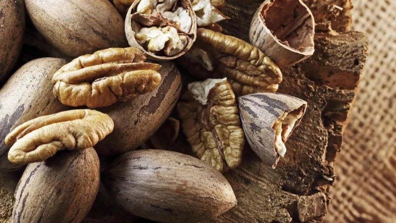 Orzechy Pecan Pekan 450g Słoiczek Pyszne