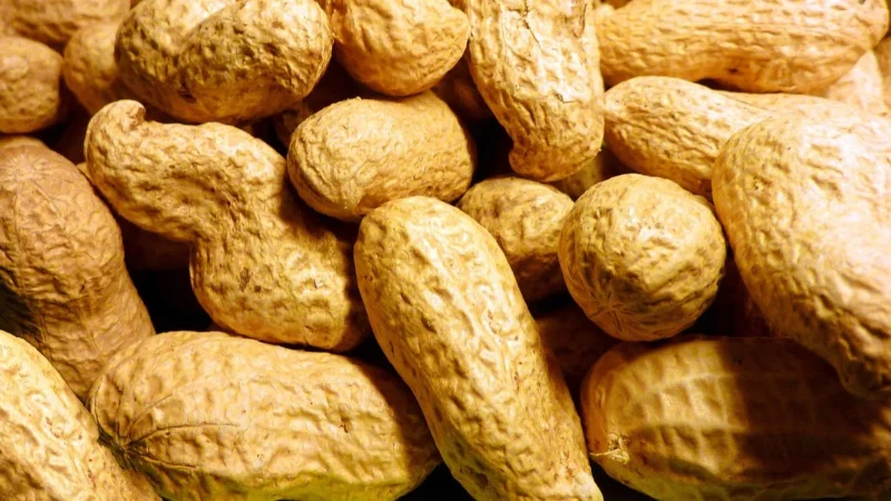 ORZECHY ZIEMNE ARACHIDOWE prażone bez soli 1 kg