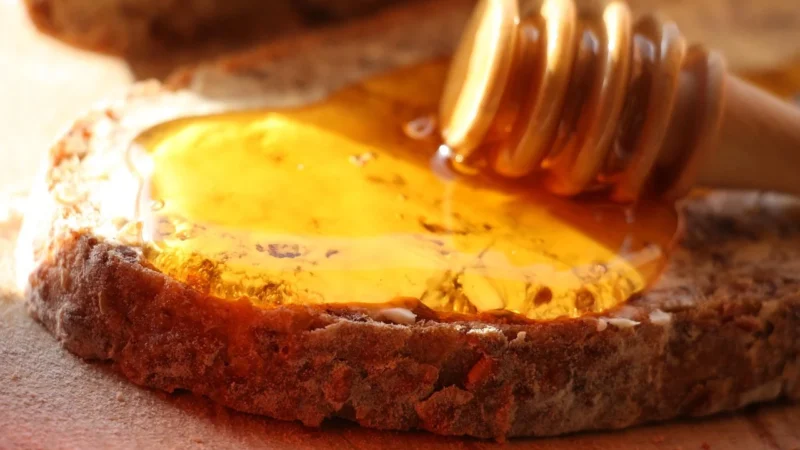 Pasieka Kujawskie Miody Miód wiśniowy 1kg