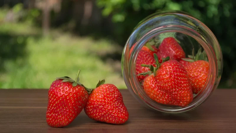 PASIEKI SADOWSKICH – Miód z truskawką, 430g