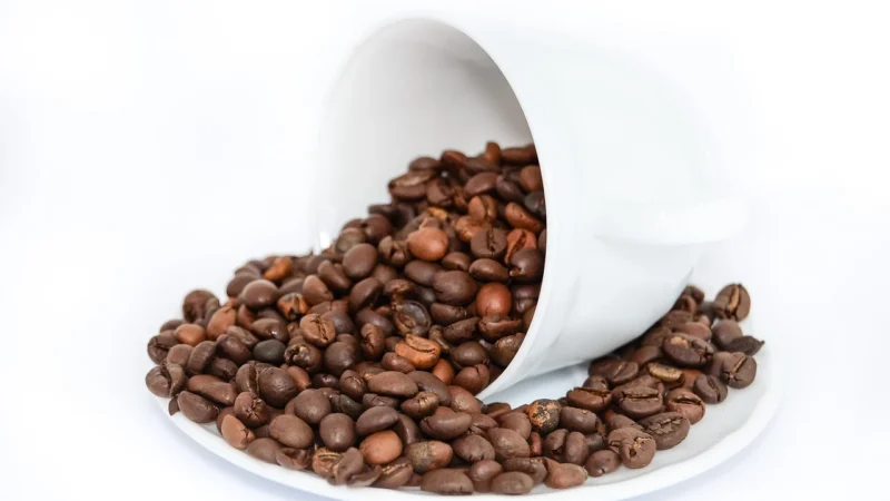 Pellini Kawa mielona Espresso Gusto Bar no 1 Vellutato 250g