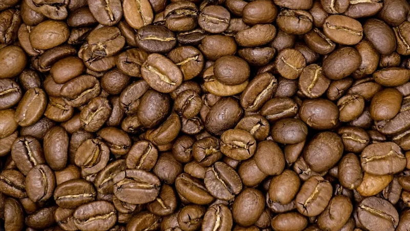 Pellini Top Arabica Espresso Dolce Gusto 10 kapsułek