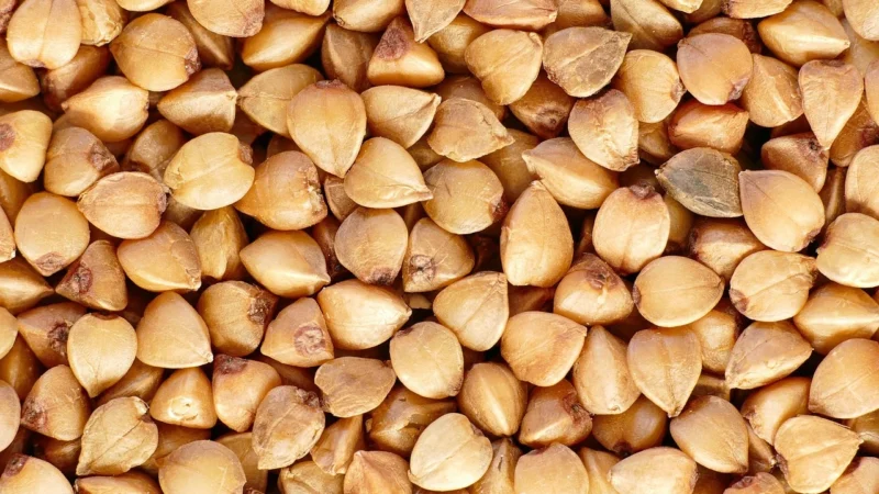 Piątnica Kasza Gryczana Prażona Naturalna 5kg