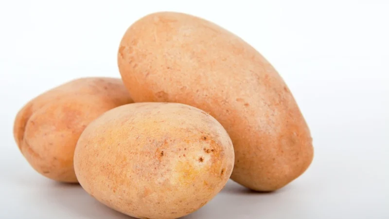 Pięć Przemian Maranta Trzcinowa – Arrowroot Bio 250G