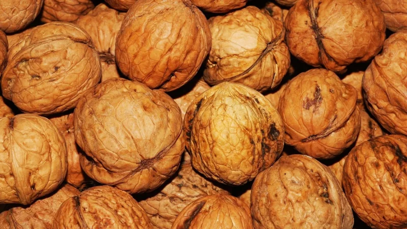 pistacje niesolone – Delikatesy