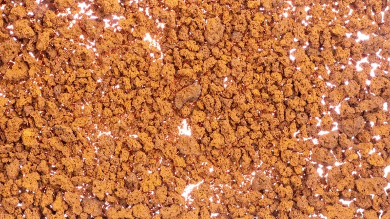 Pizca Del Mundo Kawa Rozpuszczalna Serengeti Robusta Fair Trade Bio 100G