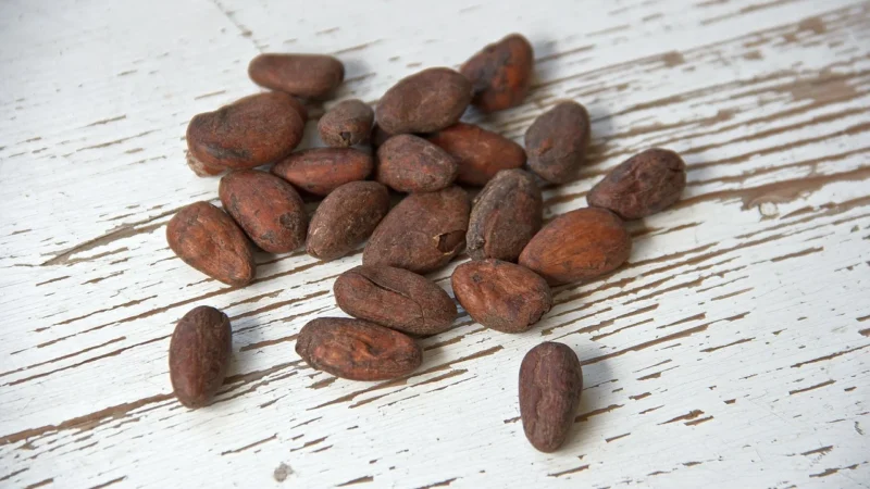 Planteon Kakao Ziarno Całe Surowe 100g