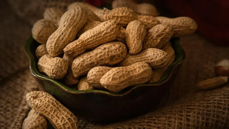 Planteon Orzechy Ziemne Prażone Do Dań Wytrawnych 10kg