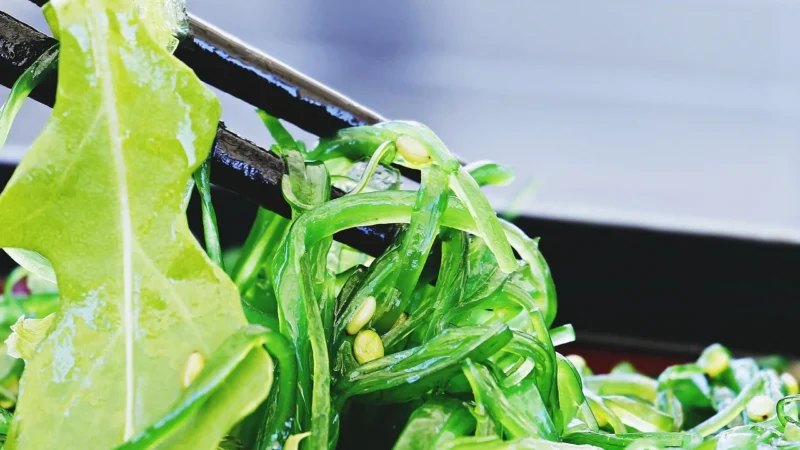 PORTO MUINOS – ALGI WAKAME W ZALEWIE BIO 80g (70g) (PUSZKA)