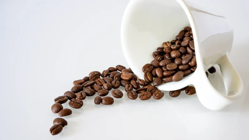 Progressive Kawa Peru Hb Torebka 100g