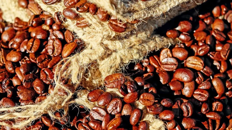 Progressive Kawa Peru Hb Torebka 200g