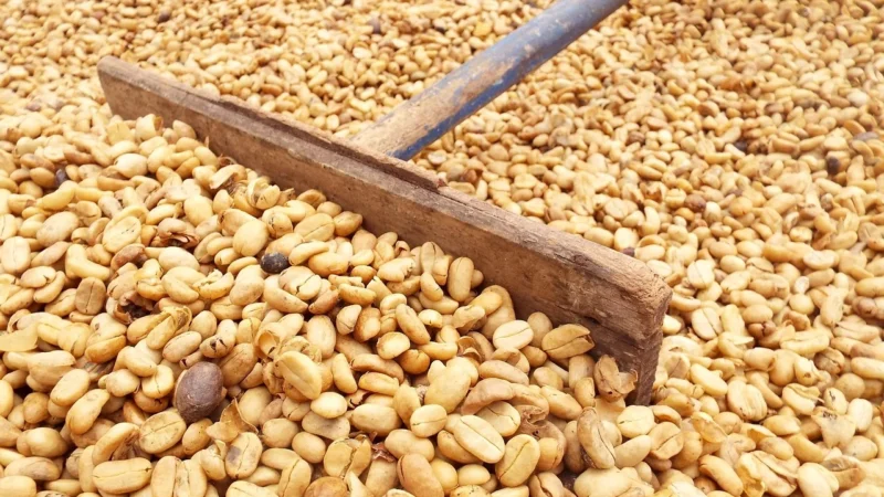 Progressive Kawa Ziarnista Zimowa Opowieść Kartonik Z Okienkiem 120g