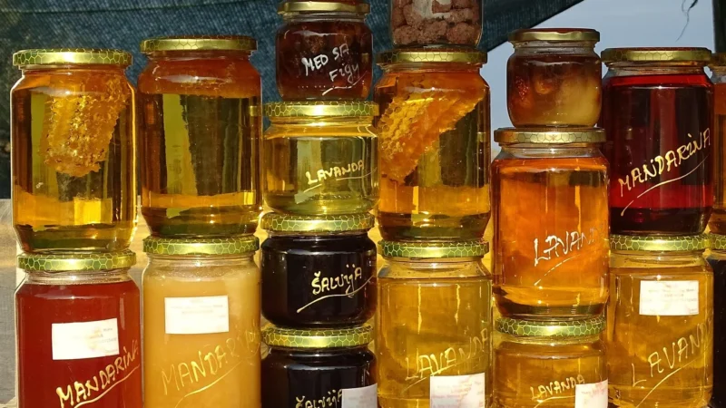 Progressive Miód z żurawiną 220g