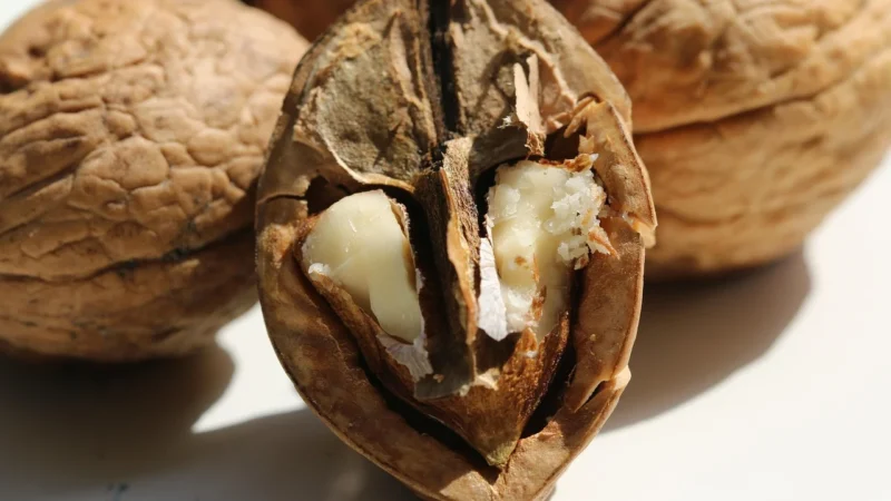 Promienie Słońca Mieszanka Studencka 1000g Bogata W Dodatki 1kg