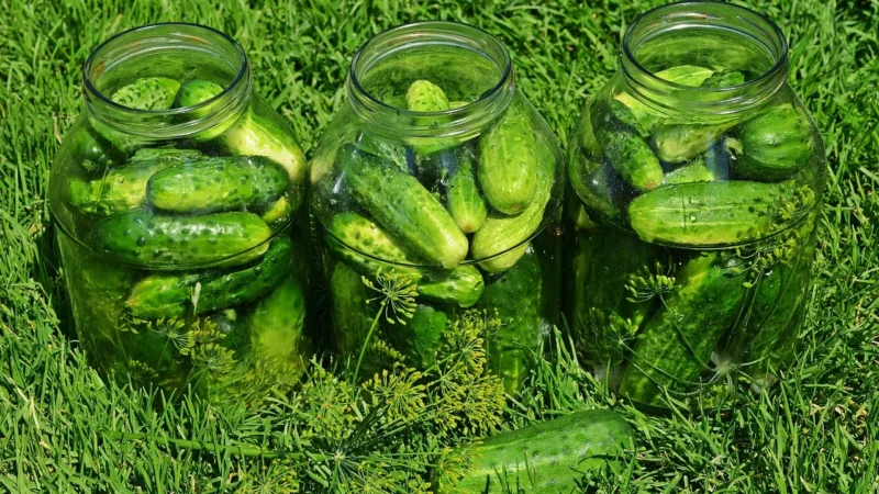 Przyprawa do ogórków kwaszonych 200g kiszonych