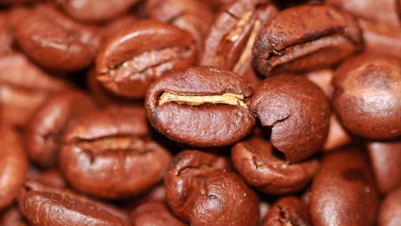 QETHEREAL Mexico Maragogype SINGLE No8 Kawa ziarnista 100% Arabica Meksyk 250g