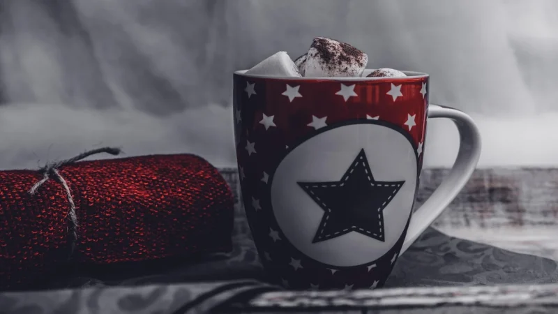 Raab Vitalfood Moon Milk Bio 70g
