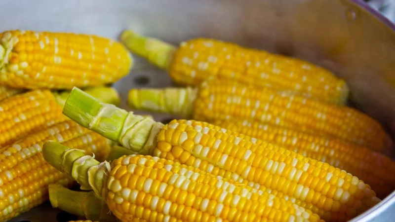 Rafex Maka kukurydziana 1kg