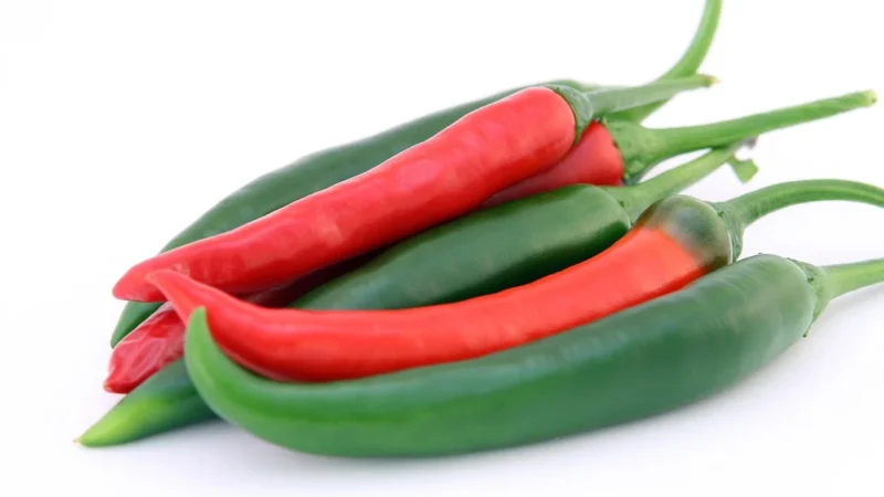 Rafex Papryka jalapeno zielona 20g