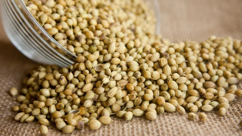 Rafex Posypka znanej zielarki 1kg
