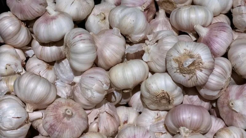 Rafex Przyprawa do warzyw na patelnie i na parze 50g