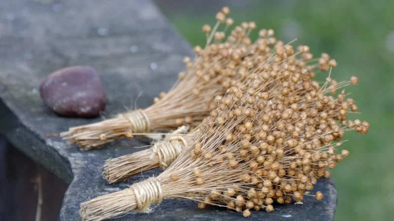 Sante siemię laniane 400g