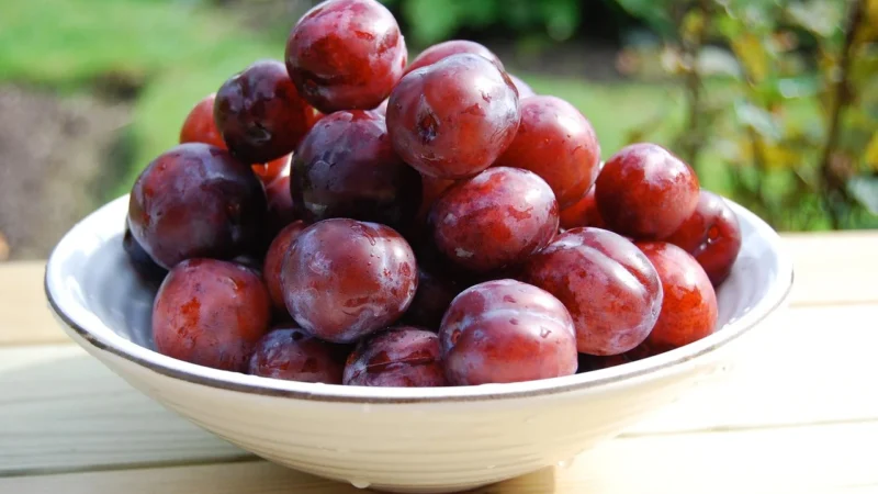 Sekimoto Kiszone japońskie śliwki Ume 150 g