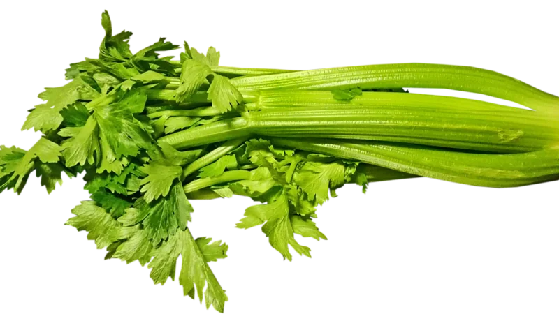 Seler Naciowy Świeży Bio (około 0,35 kg)