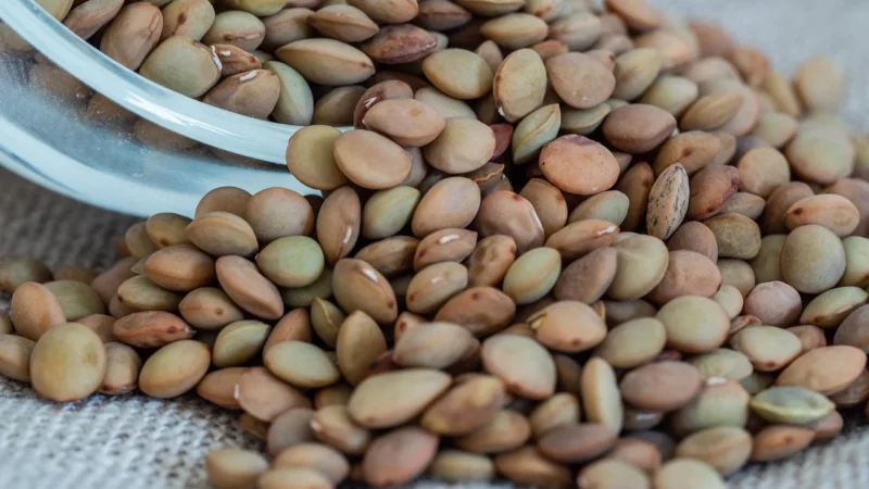 Soczewica Zielona Naturalna 500g Piątnica