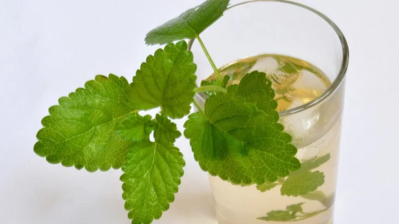 Sonnentor Herbata Balsam na nerwy