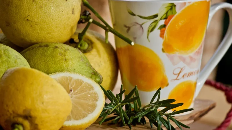 Sonnentor Herbata owocowa o smaku piernika 32,4g