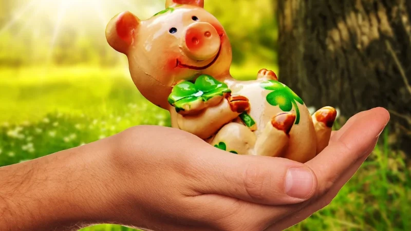 Sonnentor Herbata Szczęścia Sypka 50G