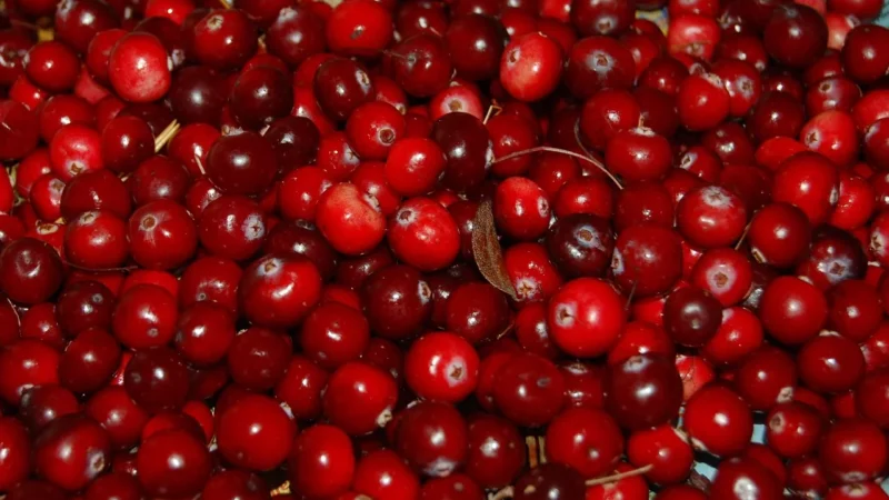 Sonrisa Żurawina Całojagodowa 1kg Niesiarkowana Soczysta