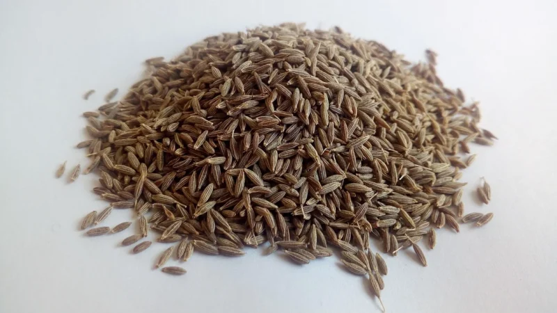 Sto Smaków Kmin rzymski ziarno 500g