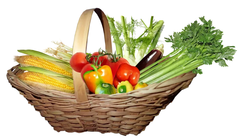 ŚWIEŻE CUKINIA ŚWIEŻA BIO POLSKA około 0,5 kg