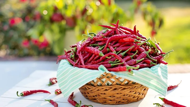 Świeżo Mielona Kawa Smak Czekolada Z Chilli 100g