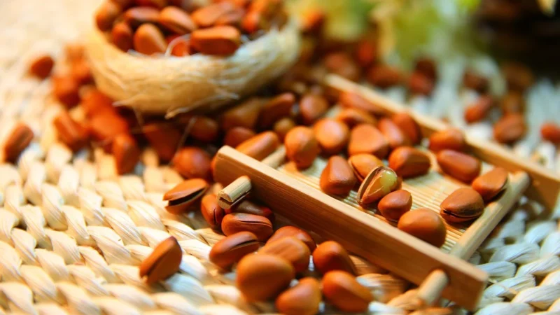 Swojska Piwniczka Orzeszki Pini Orzechy Piniowe 100g