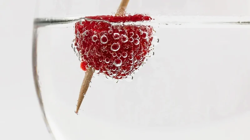 Syrop do SodaStream Owoce Leśne 375 ml