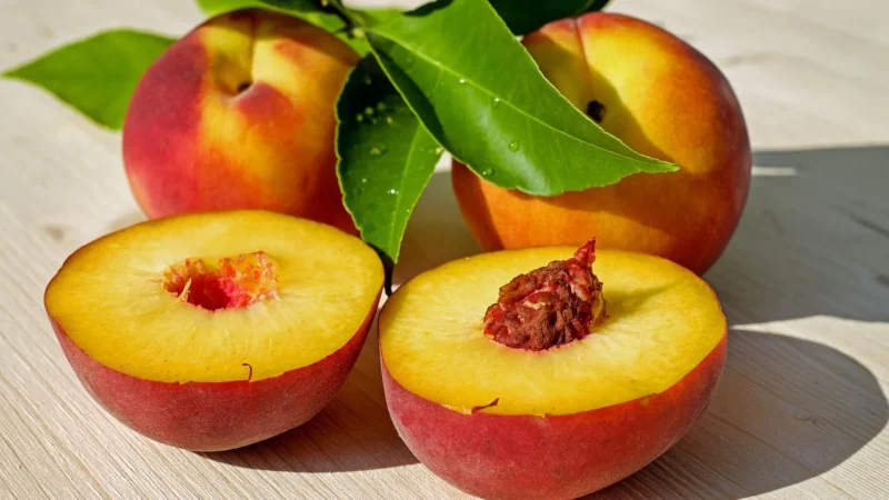 Taragui Yerba Mate Naranja De Oriente 500G