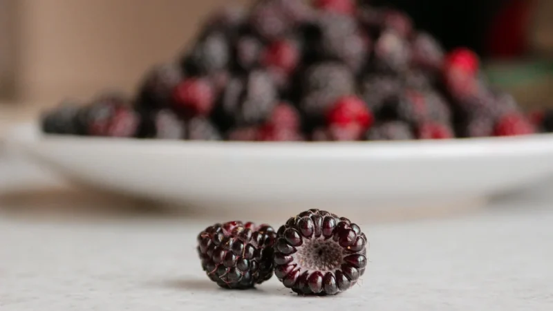 Targroch Miechunka Suszona Wiśnia Peruwiańska 1Kg