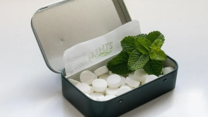 Tic Tac Mięta Tik taki 18g 24 sztuki