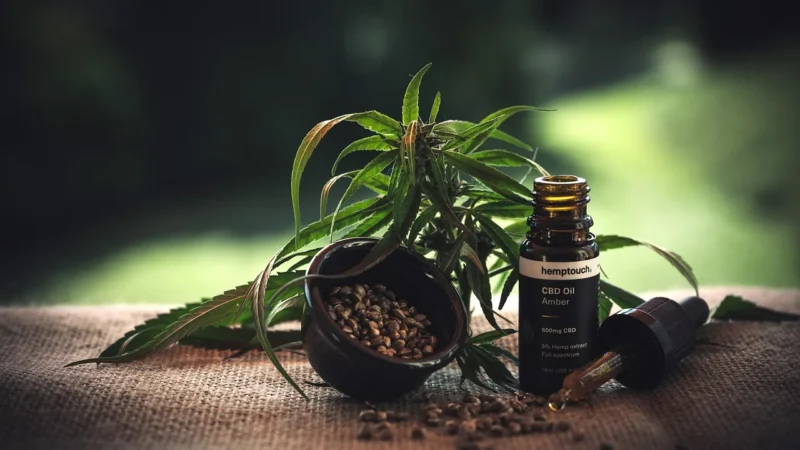 Trec Vitality Gotu Kola wyciąg z wąkroty azjatyckiej 90tab.