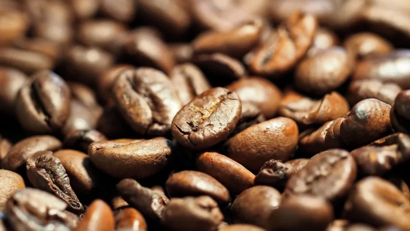 Vergnano Arabica Cristal 1882 2,5kg