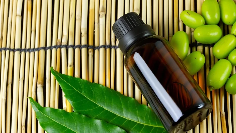 Vivio Olej Neem 50Ml